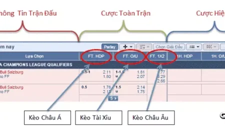 Cách đọc kèo bóng đá – Cược thủ muốn chơi thì phải nắm vững