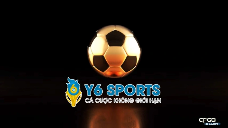 Y6sports casino mang lại không gian cá cược không giới hạn