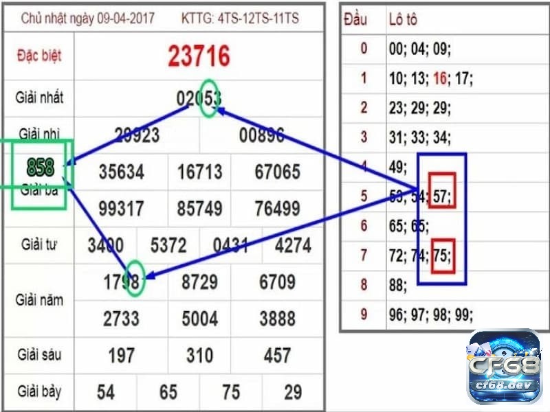 Mô hình quả trám điển hình thường gặp trong cau soi mt