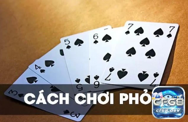 Cách chơi phỏm cho anh em cược thủ chi tiết nhất từ CF68