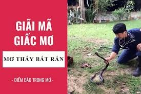 Mơ thấy bắt rắn có ý nghĩa gì? Con số may mắn của giấc mơ