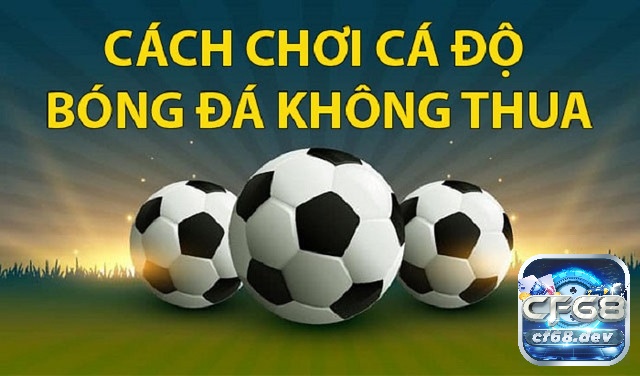 Cách chơi cá độ bóng đá không thua luôn giữ vững tâm lý