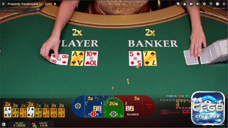 Những nguyên tắc trong luật baccarat